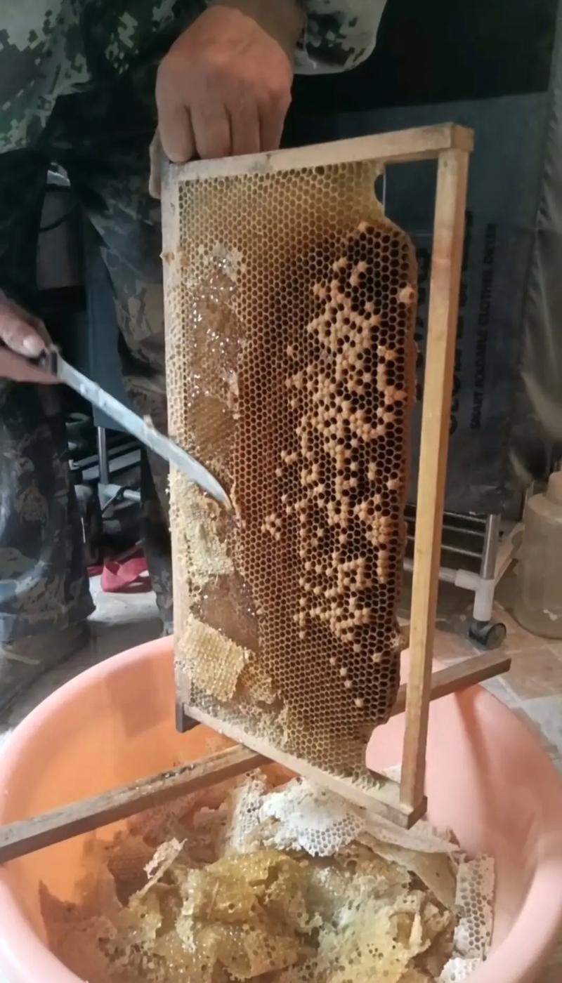 蜜蜂商业化授粉技术