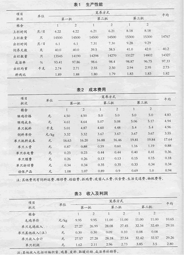 肉鸡笼养 效果分析