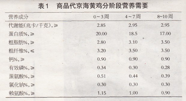 商品代京海黄鸡饲养管理要点