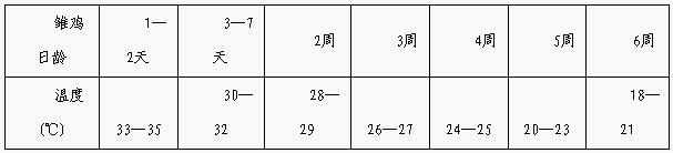 岭南黄育雏期的饲养管理
