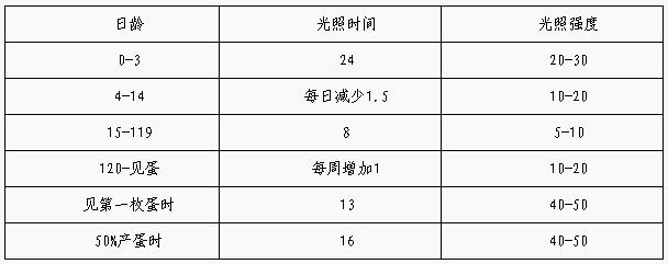 岭南黄育成期的饲养管理