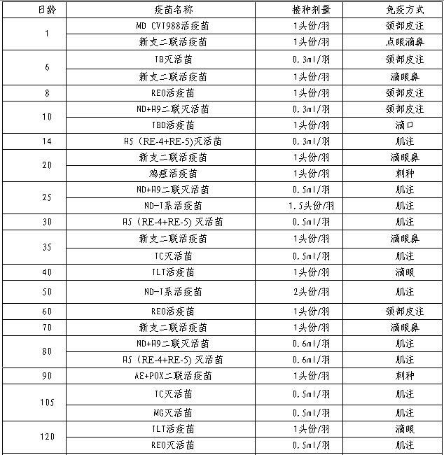 岭南黄鸡免疫程序