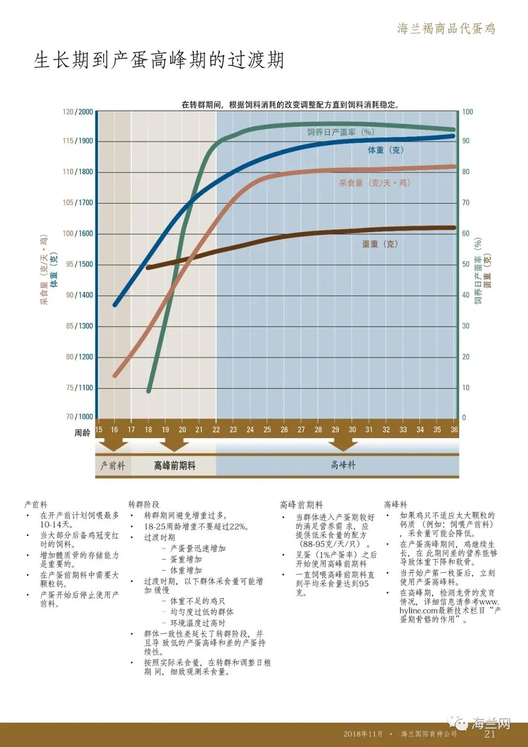 蛋鸡养殖特殊的50天