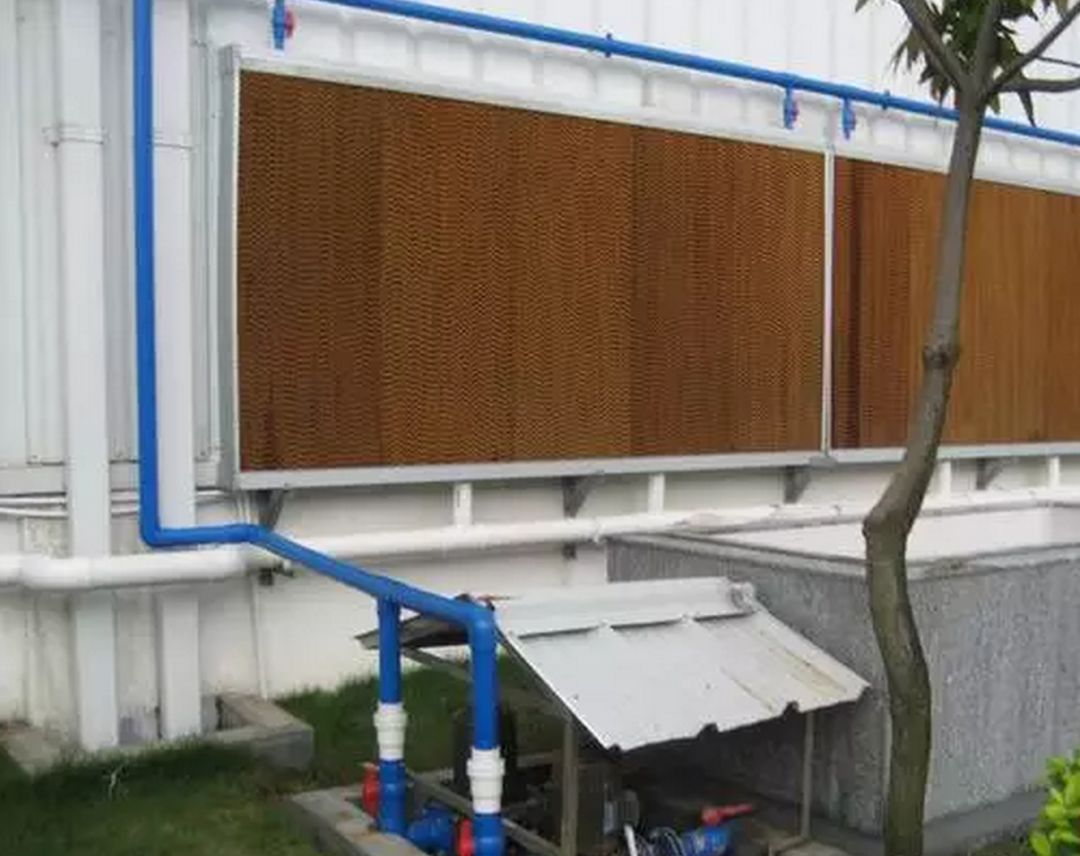 夏季肉鸡养殖，棚内温度高的一点看法（实战经验）