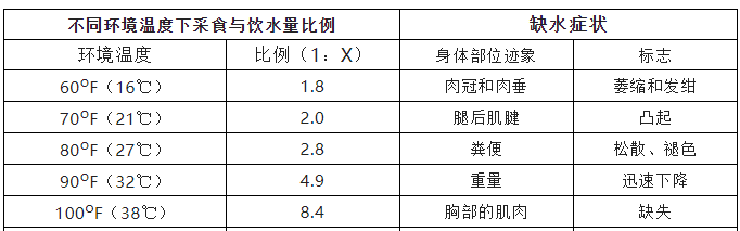 夏季养鸡科学饮水关注五点