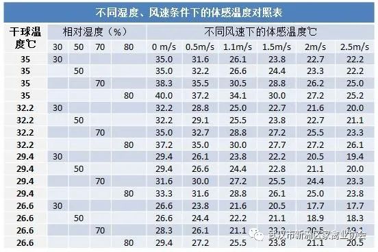 过夏育成鸡体重不达标，怎么办？
