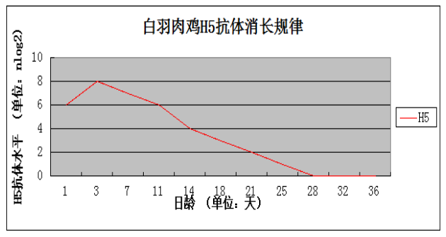 肉鸡为什么二十多天爱发病