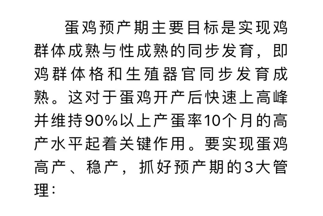 蛋鸡预产期的关注点
