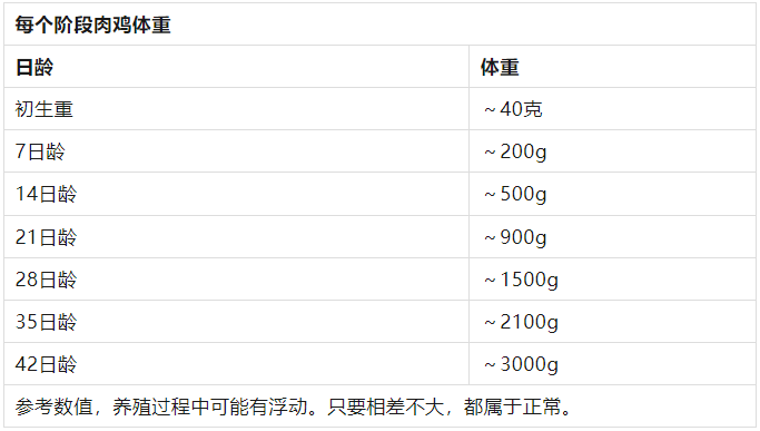 从管理角度来找肉鸡生长缓慢的原因及解决办法