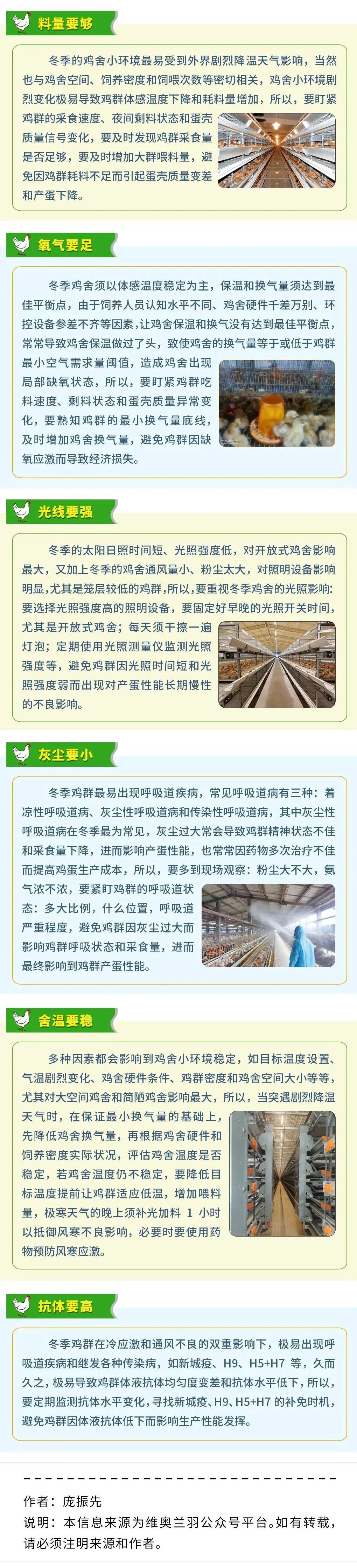 冬季蛋鸡管理关键六点