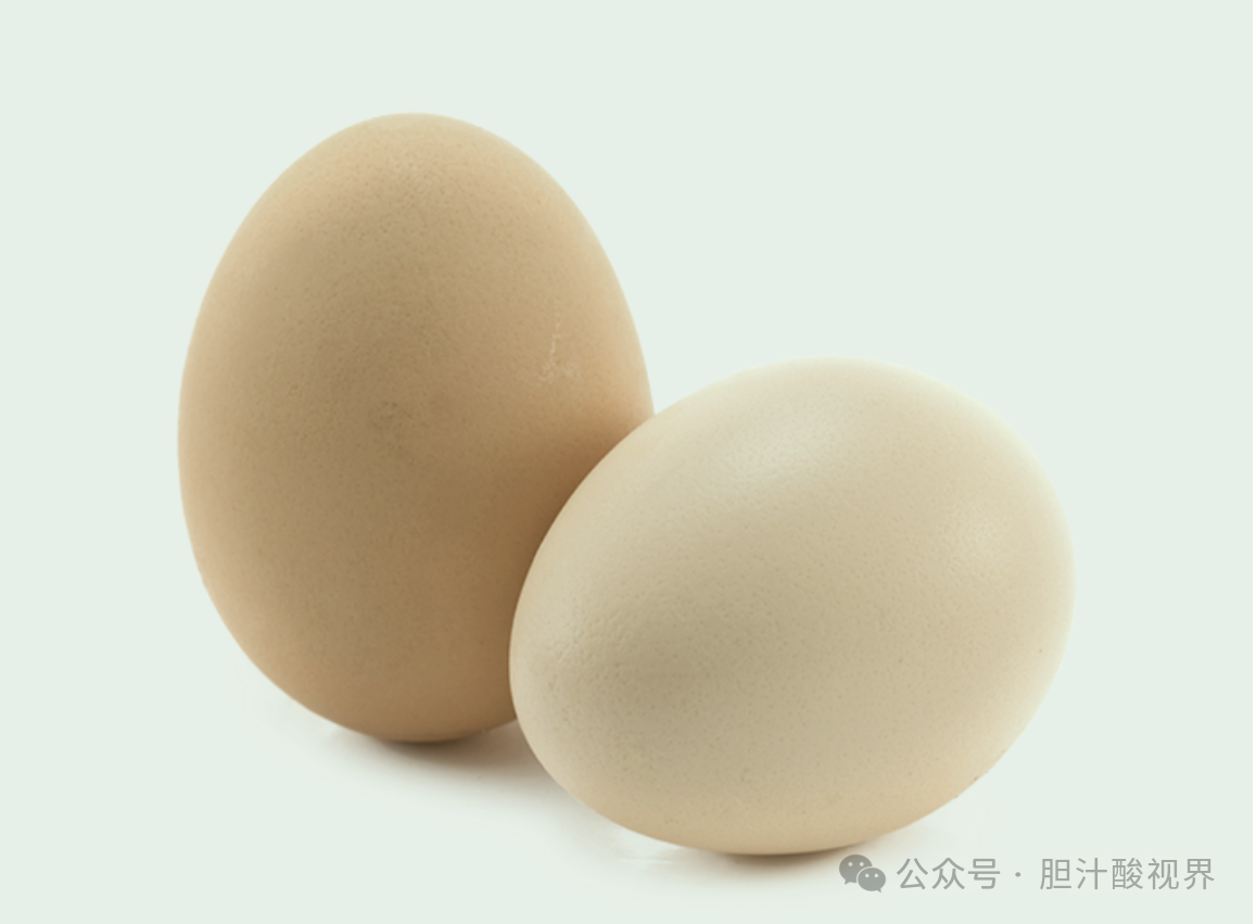 从蛋黄到蛋壳：鸡蛋形成过程及影响蛋品质的因素