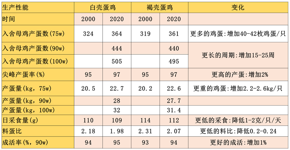 后备鸡的生长发育是产蛋期成功的关键