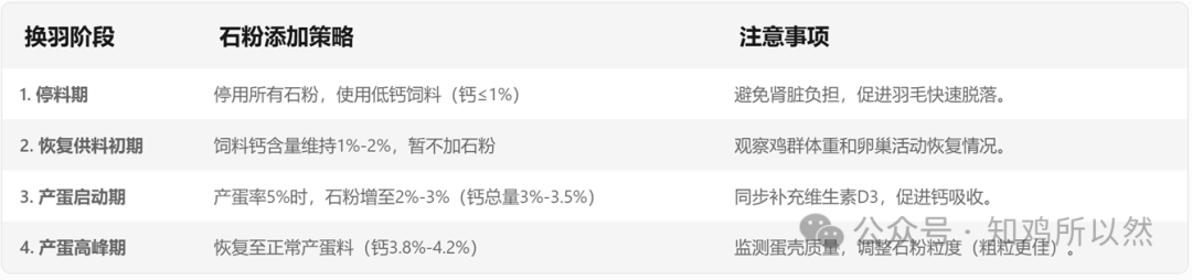 蛋鸡强制换羽后出现痛风