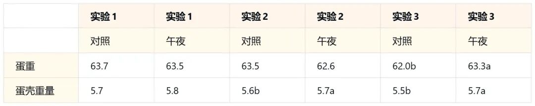 “午夜饲喂”：提升蛋壳质量与蛋重的光照管理技术