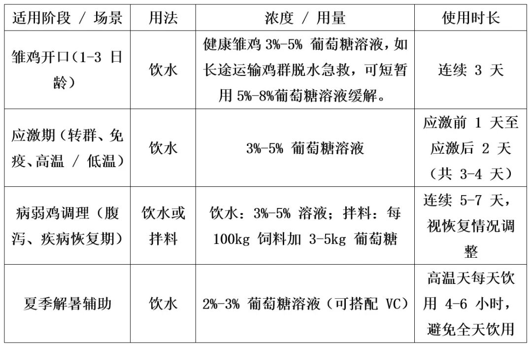 养鸡必看！2种常用辅助物质用法全解，轻松应对应激