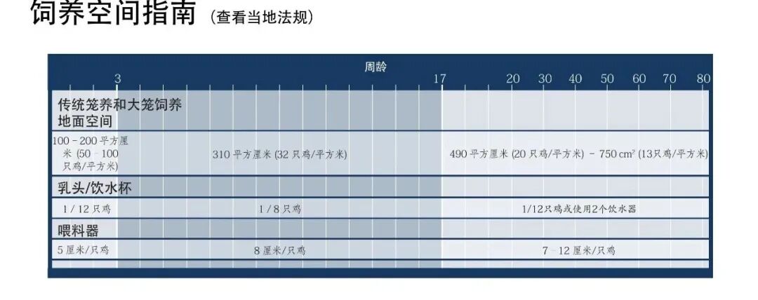 蛋鸡养殖痛点解析：被忽视的“乳头出水量”