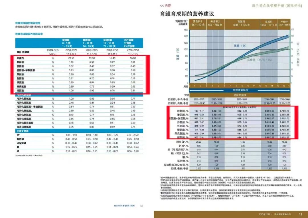 伊莎蛋鸡VS海兰褐｜开产前营养对比