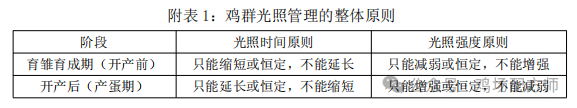 秋季开产的商品蛋鸡光照管理措施