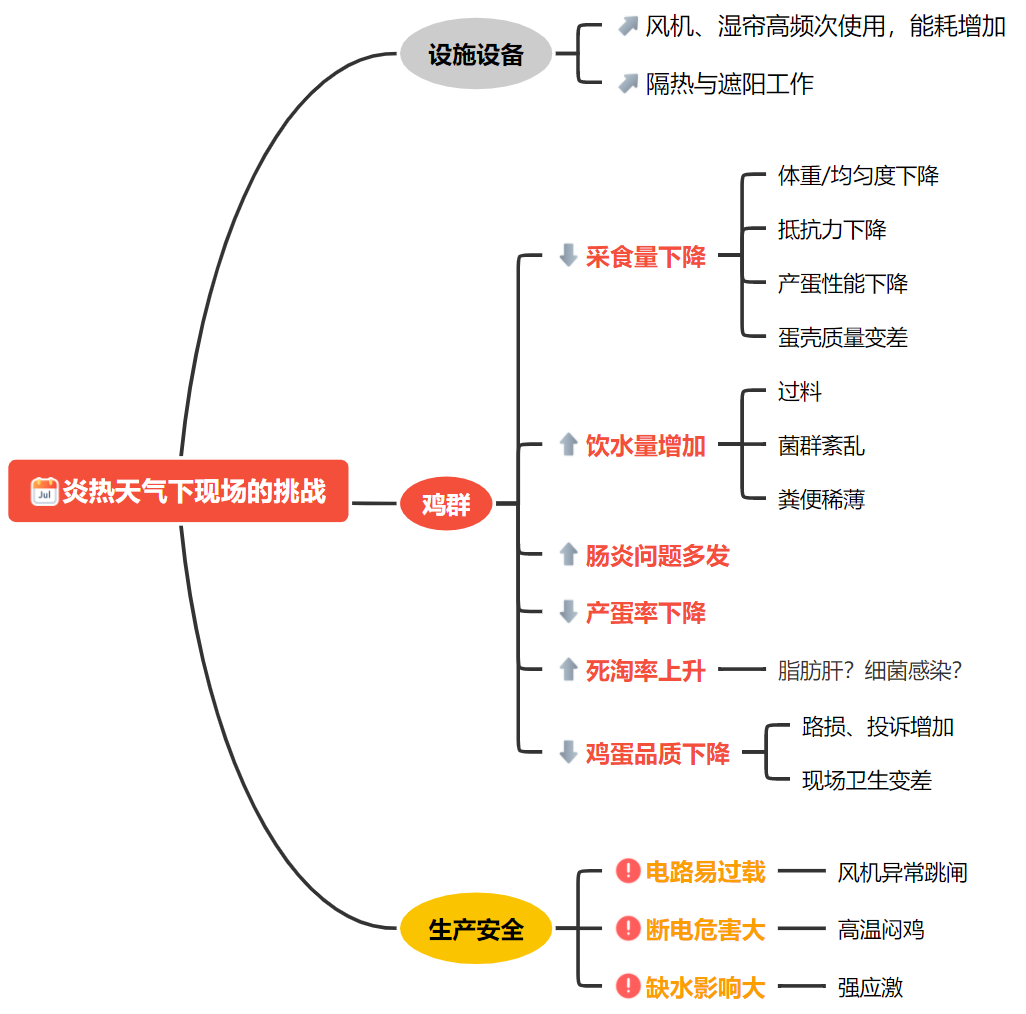 夏季肉鸡养殖现场的关注细节
