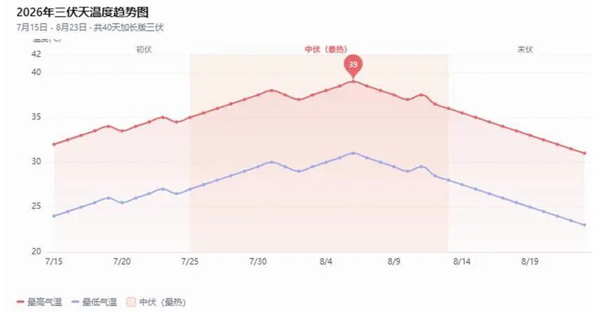 科学迎战三伏天，死鸡不增 蛋不减