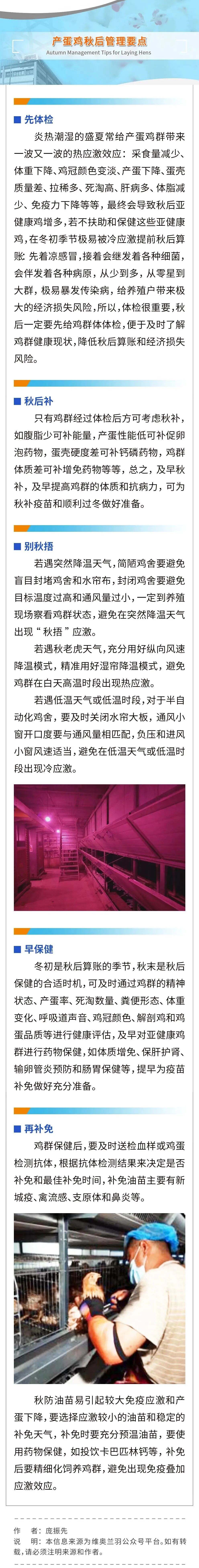 产蛋鸡秋后管理要点