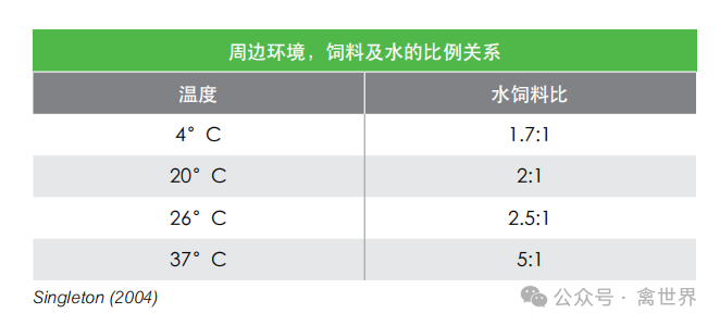 面对持续高温：肉种鸡防暑降温策略——这八点措施常用