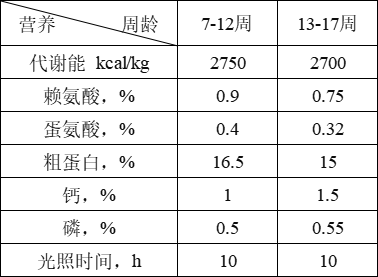 青年鸡不同阶段的营养设定