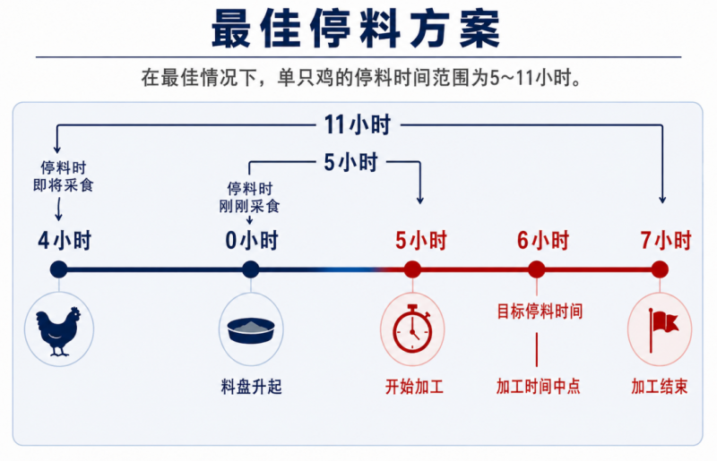 6小时：为什么停料时间会影响料肉比、屠宰产率、食品安全和利润 ...