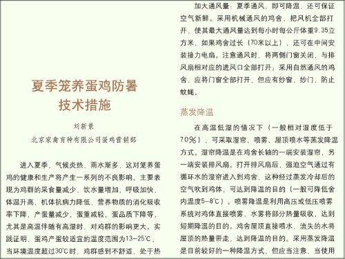 夏季笼养蛋鸡防暑技术措施