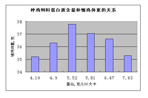 改善种鸡营养，提高雏鸡质量