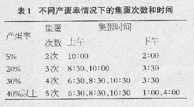 种蛋收集和转运程序的管理