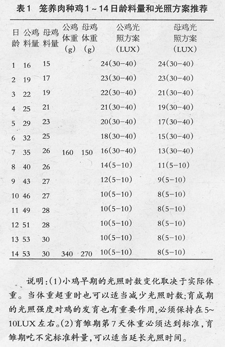 “艾维茵500”种鸡饲养管理中的几个误区