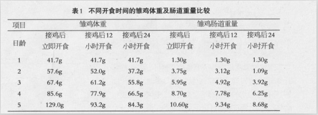 现代肉鸡饲养管理关键点