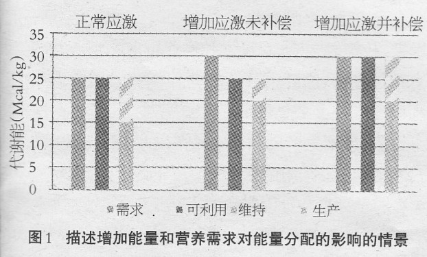 营养调控可提高放牧蛋鸡福利和养殖利润