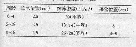 后备蛋鸡培育关键节点技术措施