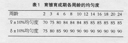 肉种鸡育雏育成期饲养管理措施