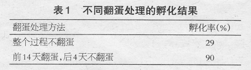 浅谈翻蛋对孵化率的影响