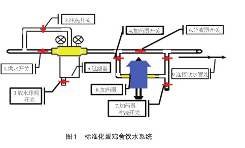 蛋鸡场 “全进全出” 饲养模式下饮水系统的空场管理方案