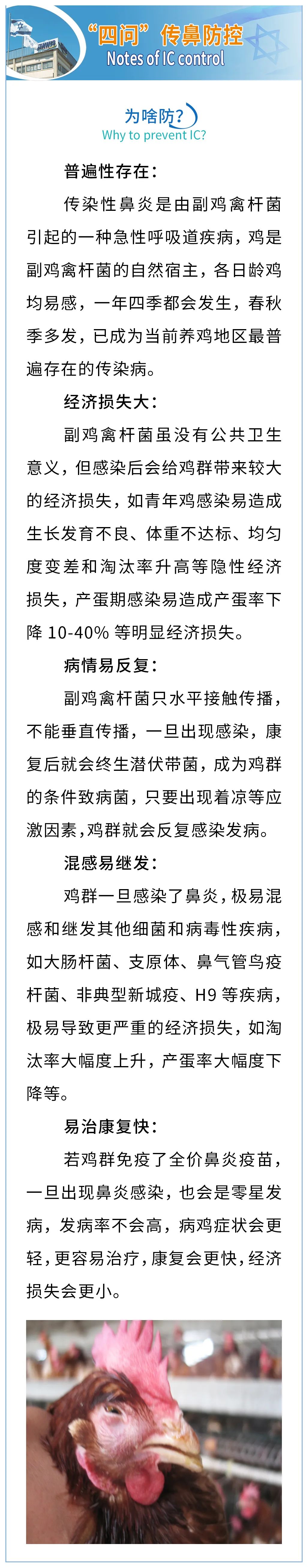 “四问”传鼻防控