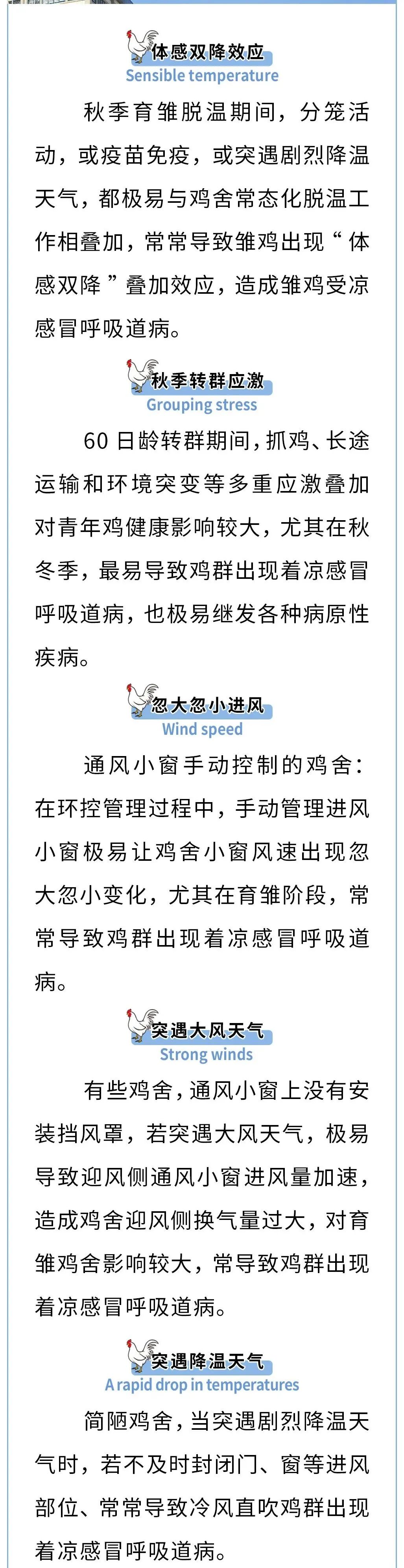 秋季呼吸道病，咋来的？