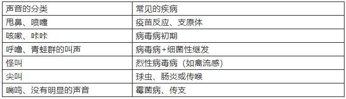 冬季鸡呼吸道疾病易发的原因与防治