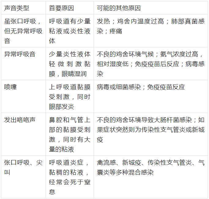 鸡病的信号（鸡群呼吸声音异常如何判断）