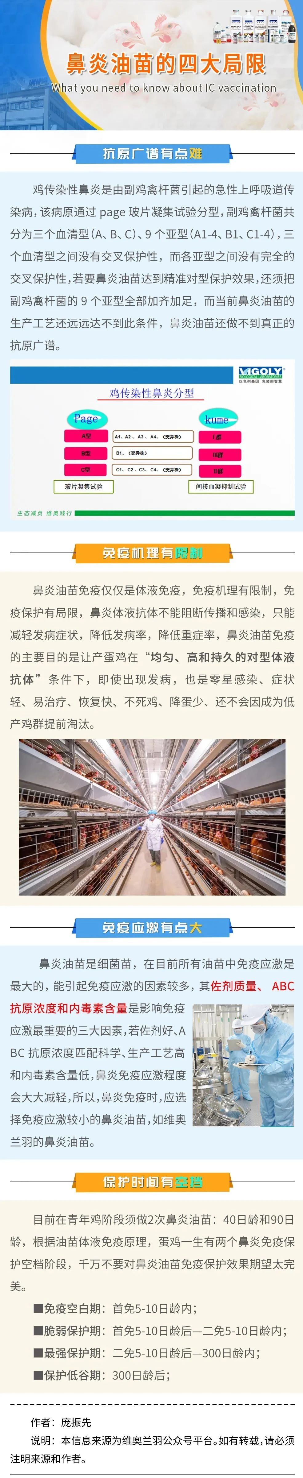 鼻炎油苗的四大局限
