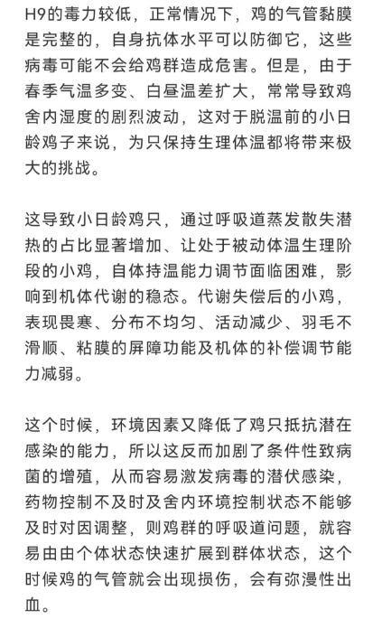 冬春季节谨防肉鸡的呼吸道病