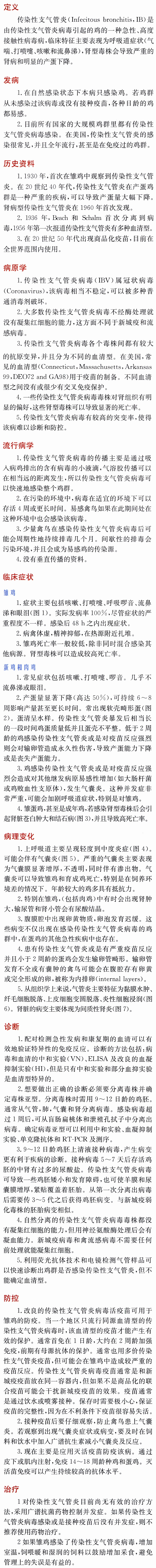 禽传染性支气管炎