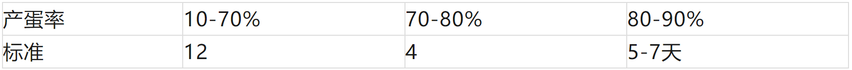 感染传支的蛋鸡鉴别以及如何挑鸡