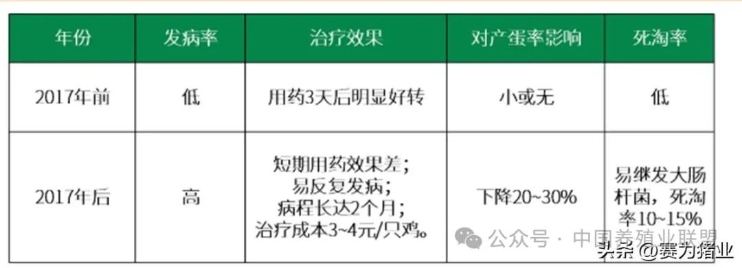 鸡传染性鼻炎