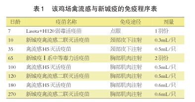 一起蛋鸡禽流感H9的诊断分析