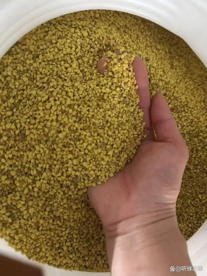 蜜蜂的四大主食分别是什么？揭秘蜂群生存的核心食物