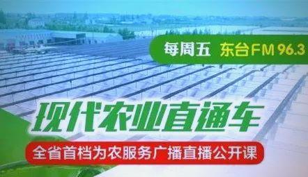 蚕桑技术要点详解，助广大蚕农提高养殖效益！